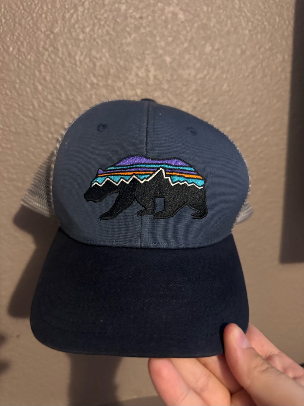 Patagonia Navy Cap with Multicolor Mountain Stripe
